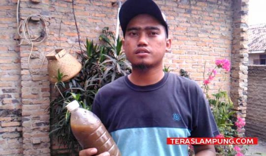Langbune, Penghilang Bau Limbah Karya Pemuda Desa Sidodadi Lamsel