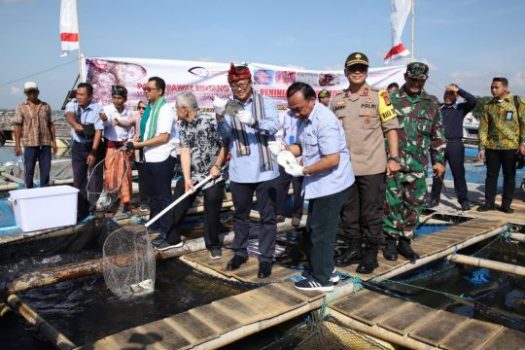 Edhy Prabowo: Pembesaran Benih Lobster Dorong Nilai Tambah Masyarakat Pesisir