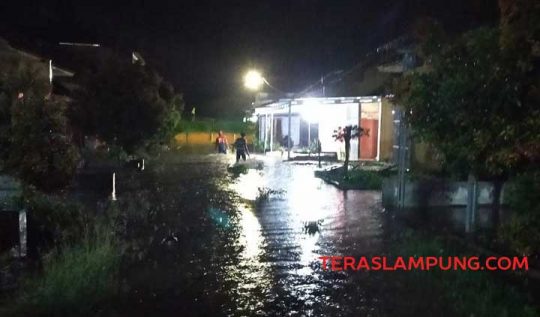 Hujan Deras, Puluhan Rumah di Desa Sidomulyo Lamsel Dilanda Banjir