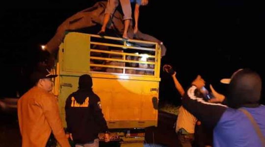 Bawa Satu Truk Kayu Ilegal dari Hutan Register 39, Dua Warga Sumsel Dibekuk Polisi
