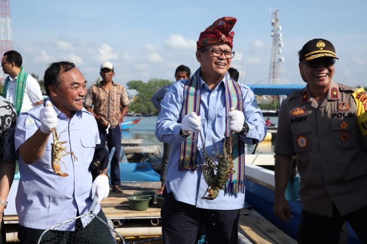 Menteri KKP: Belum Ada Keputusan Final Soal Ekspor Benih Lobster