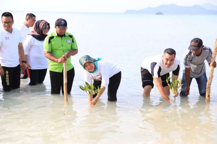 Dukung Program Wisata Pantai, Pemprov Lampung akan Siapkan Anggaran Khusus untuk Tanam Mangrove