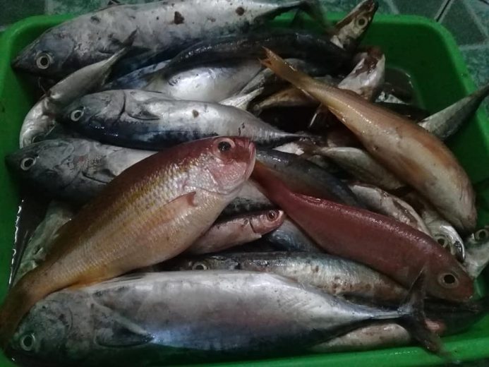 Ikan dan Kepintaran Orang Sumatera Barat