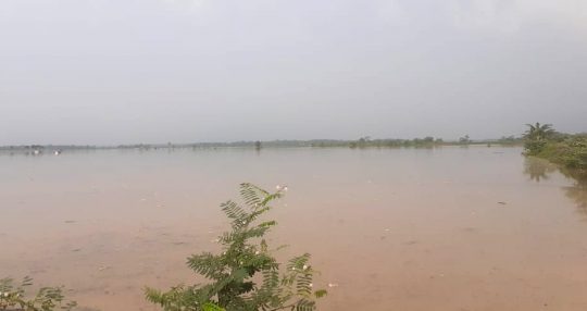 Tanggul Way Katibung Jebol, Ratusan Hektare Sawah di Tiga Desa Kecamatan Candipuro Terendam