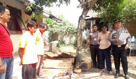 Pelaku Pembalakan Liar di Register 32 Batu Tegi Diringkus Polisi