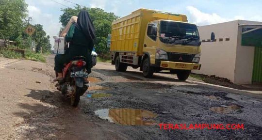Jalan Provinsi di Sidomulyo Lamsel Seperti Deretan Kolam