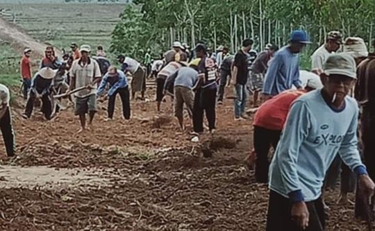 Warga Desa Bumijaya Bergotong Royong Membuat Jalan Tembus