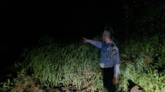 Tebing Longsor, Jalur Bandung-Cianjur Lumpuh Total