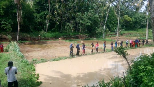 Eksplorasi Srawung Seni Sawah, Menelisik Jejak Agraris di Desa Triharjo