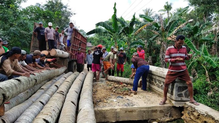 Ambrol, Warga Sukamaju Lamsel Perbaiki Jembatan Penghubung Dua Kabupaten dengan Batang Pohon Kelapa