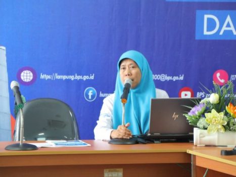 BPS: Perekonomian Lampung Tumbuh 5,27 Persen pada 2019