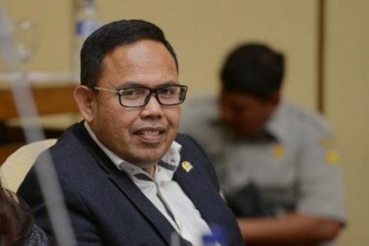 Andi Akmal Pasludin: Izin Kawasan Hutan Perlu Dikembalikan ke KLHK