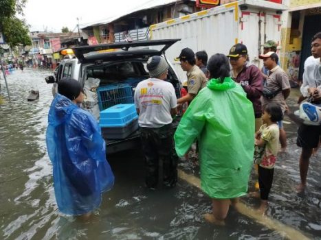 Banjir Jakarta, Pemprov DKI Buka Layanan Evakuasi Hewan Peliharaan