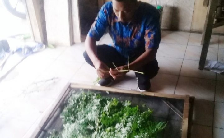 Salah satu rumah yang dijadikan tempat untuk mengolah daun kelor menjadi serbuk (tepung) dan teh yang dilakukan leh penggiat literasi “Perpustakaan Cinta Baca” Desa Bulok, Kecamatan Kalianda.