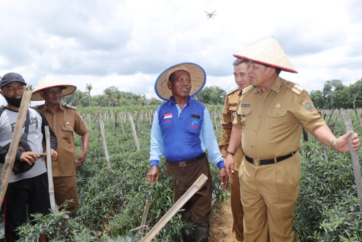 Gubernur Lampung Dengar Keluhan Petani Cabai di Pesawaran