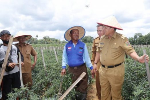 Gubernur Lampung Dengar Keluhan Petani Cabai di Pesawaran