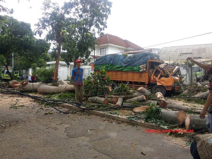 Dua Mobil dan Satu Motor Tertimpa Pohon Sengon di Jl. P. Emir Noor Bandarlampung