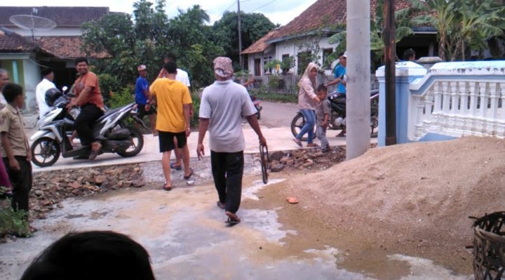 Ular berbisa dan mematikan (kobra), dibawa ke luar oleh Kateni, seorang pemuda warga Desa Sidorejo