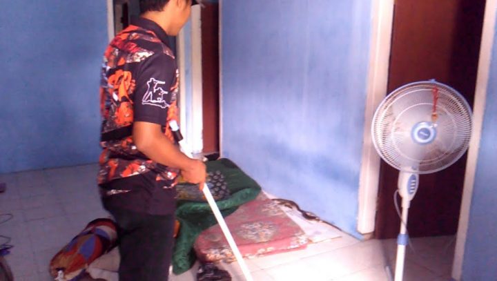 Ular kobra yang masuk ke rumah Ibu Salwanis (54) di Jalan Karyawan Dusun Ringin Agung II Desa Sidodadi, Kecamatan Sidomulyo, Lamsel, Sabtu (1/2/2020) siang.  
