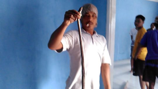 Ular Kobra Masuk Rumah Gegerkan Warga Dusun Ringin Agung II