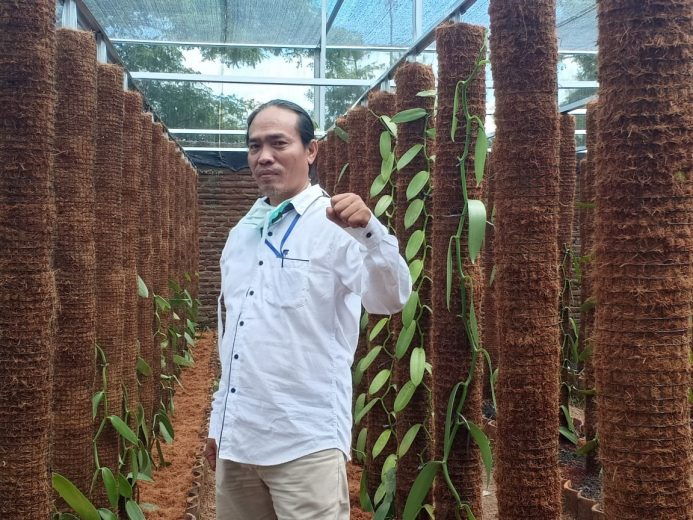 Tanaman Obat, Pria Ini akan Kembangkan Kebun Kina di Pesawaran