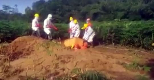 Pegawai Honorer Dinas PUPR Lampung Utara Meninggal Bukan karena Covid-19
