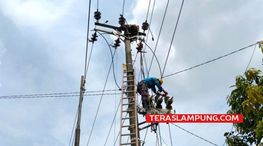 Perbaikan Jaringan Baru, PLN Lakukan Pemadaman Listrik di Sidomulyo