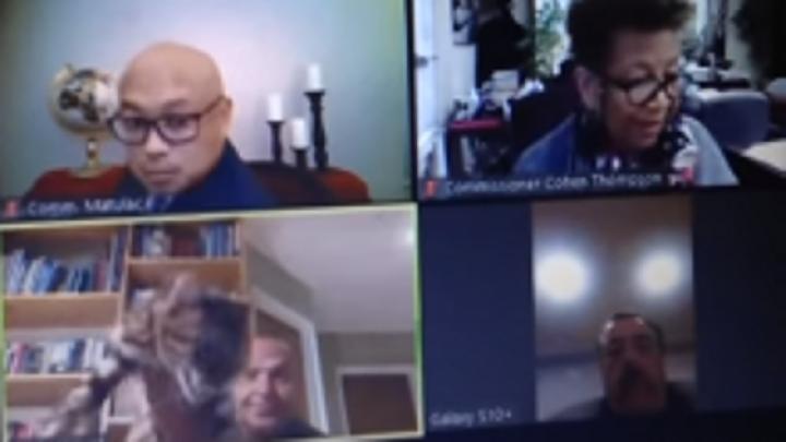Pejabat California Mundur karena Lempar Kucing saat Rapat dengan Aplikasi Zoom