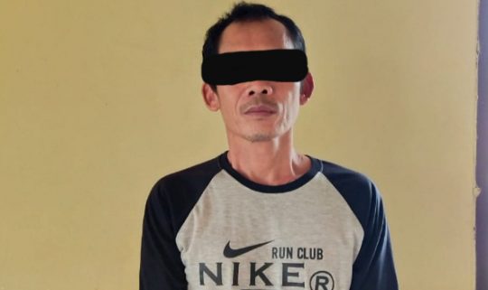 Sembunyi di Panjang, Pencuri Mobil Truk Dibekuk Polisi