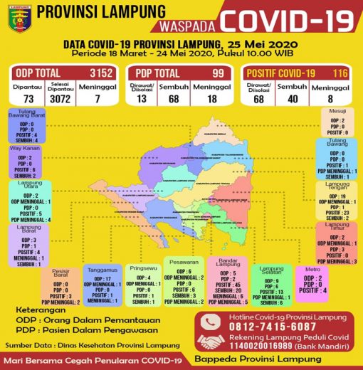 Hanya Mesuji dan Lamtim Kasus Positif Nol, Ini Peta Sebaran Kasus Corona di Lampung