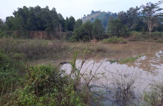 Tiga Anak Tewas di Kolam di Bekas Tambang Batu, Ini Kata Walhi Lampung