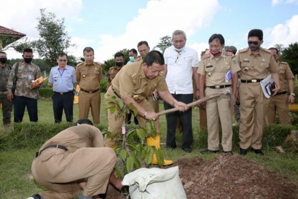 Gubernur Lampung Menanam Pohon Kepel di Kebun PKK Agropark