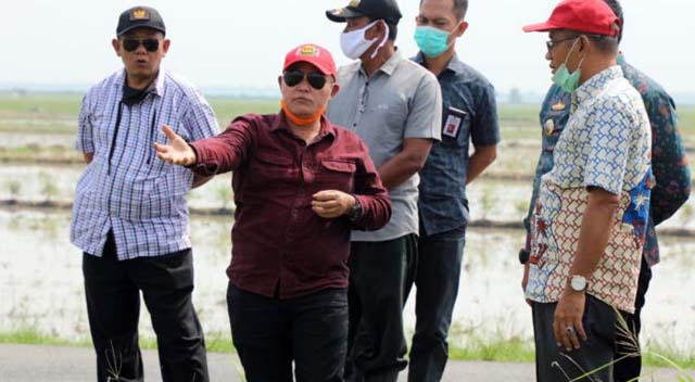 Bupati Lamsel Minta Pengusaha Tambak Gotong Royong Perbaiki Tanggul Jebol