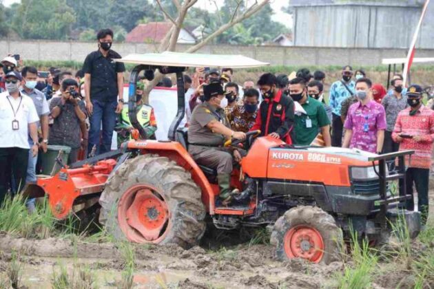 Mentan dan Gubernur Lampung Tinjau Lokasi Olah Tanam di Trimurjo