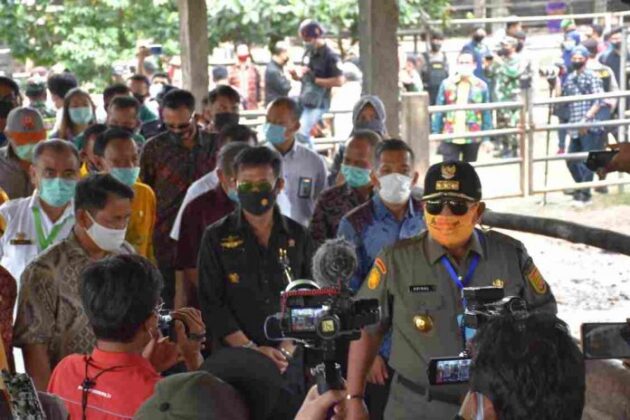 Mentan Siap Bantu Gubernur Lampung Kembangkan Peternakan