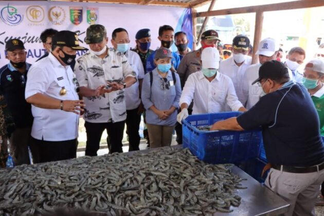 Ekspor Ikan Naik 6,9 % pada Masa Pandemi