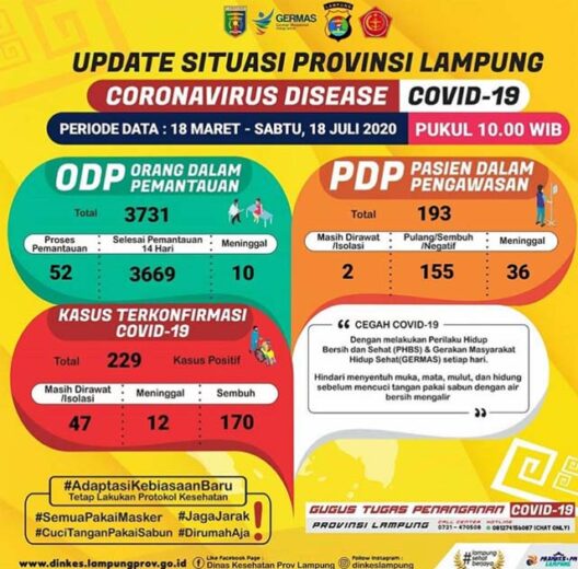 Tambah 9, Pasien Covid-19 di Lampung Jadi 229 Orang
