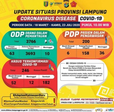 Tambah 9, Pasien Covid-19 di Lampung Jadi 246 Orang