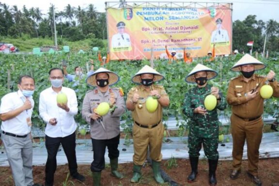 Gubernur Lampung Panen Perdana Melon dan Semangka di Agrowisata Hortipark Pesawaran
