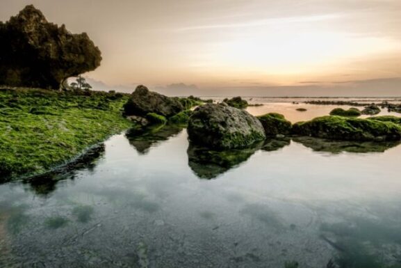 Pantai Plengkung, Surga Tersembunyi di Banyuwangi