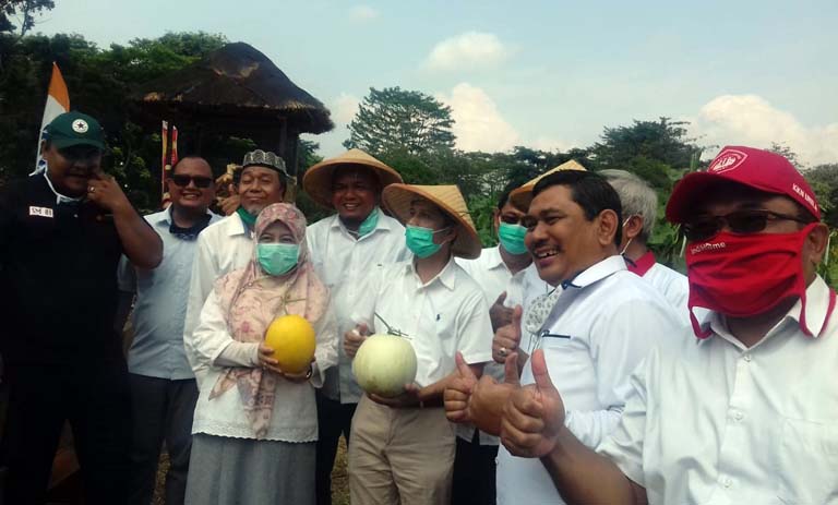 Agrowisata Melon Unila, Destinasi Wisata Baru di Tengah Kampus