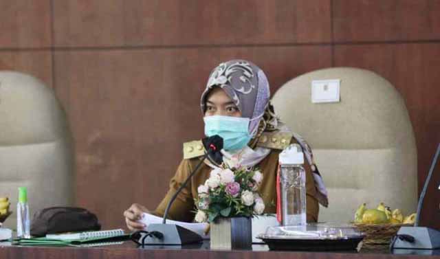 Antisipasi Stunting, Wagub Lampung Minta Dinas Terkait Bekerja Harmonis