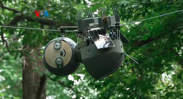 Slothbot, Robot Kungkang untuk Membantu Konservasi