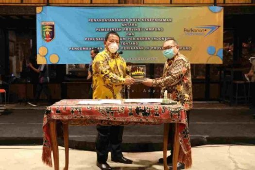 Gubernur Lampung Bidik Pengembangan Potensi Ikan