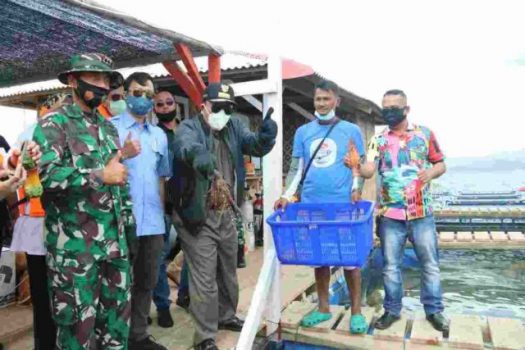 Lobster Diproyeksikan Jadi Unggulan Perikanan dan Dukung Wisata Lampung