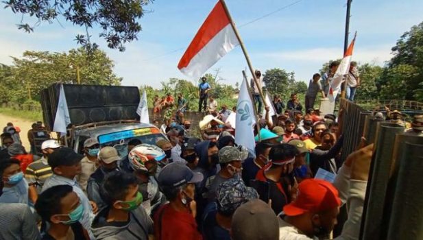 Harga Singkong Anjlok, Petani Singkong Lampura Gelar Unjuk Rasa