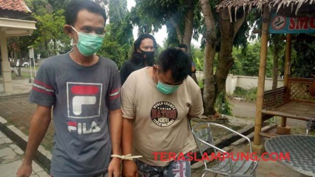 Dua Oknum Satpol PP Ditangkap Saat Nyabu di Rumah Jabatan Bupati Lampura