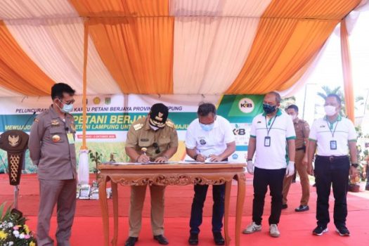 Diluncurkan di Lamteng, Ini Tujuan Program Kartu Berjaya Menurut Gubernur Arinal