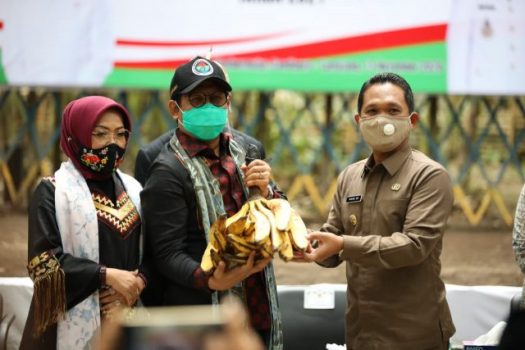 Soal RPP BUM Desa, Ini Kata Menteri Abdul Halim Iskandar