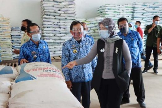 Wagub Lampung Cek Stok Pupuk dan Pestisida di Lampung Timur